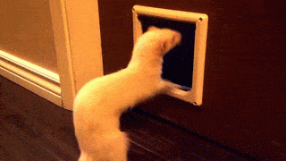 1422702623_1533887357