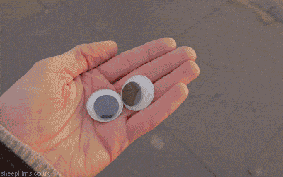 doc91562795_364308963