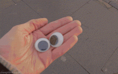 глаза на баке