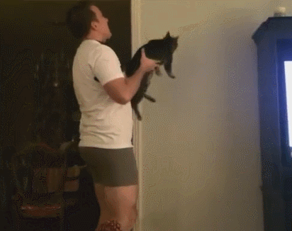 -гифки-живность-муха-1856155