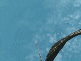 1423209072_1803327661