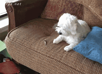 tumblr_nj9fhiZs3d1rnma1do1_400