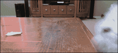 tumblr_nj7juxZN2q1qzx3jto1_400 (1)