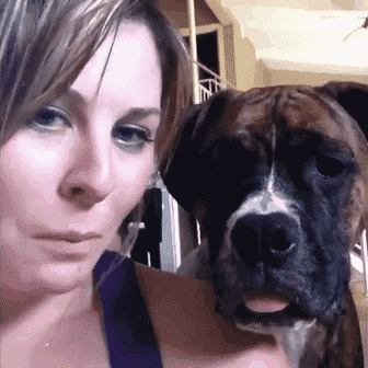 -живность-гифки-1624789