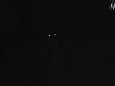 1337146416_gifs_01