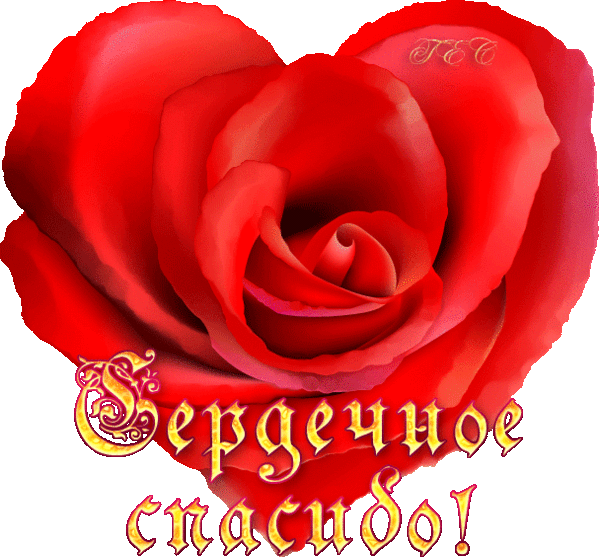 httpmiranimacii.ru_ph262166020717