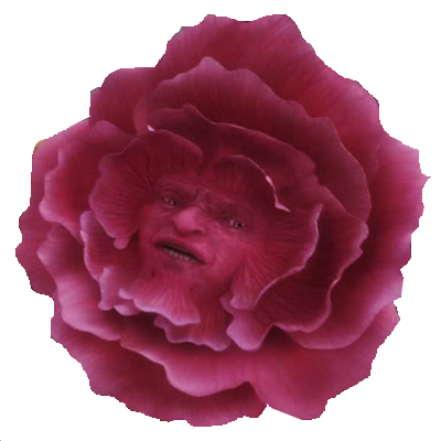 03-ug0120_comp_v24_hd_vd81099