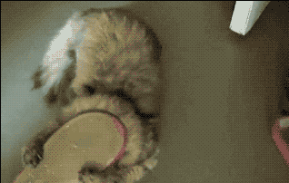 tumblr_niw7ihxWJU1tyncywo1_400