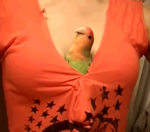 gifs_16