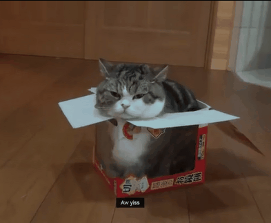 1423552459_1503885783