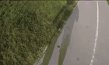 1423634118_812684273