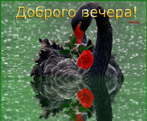 Добрый вечер!