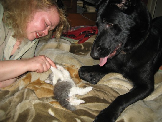 мы со зверями