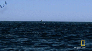 0_14f67f_834fd49a_orig