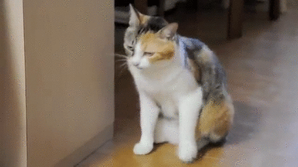 1424154986_790288609