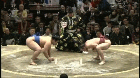 1424871099_sumoprikolist