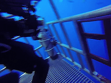 cm_20150219_5004_014