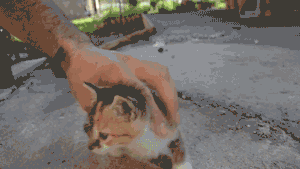 ec95e27451fbdb87e1ad8561dc6