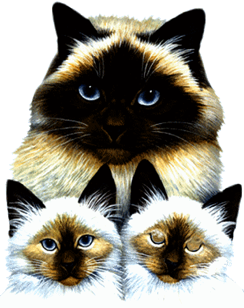 Gif анимация (31)