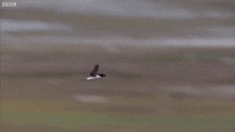 1425447607_272083397