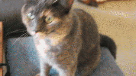 b92fd5c6b37c90a7b8f53a58b10