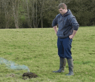 gavna_kuski_letyat