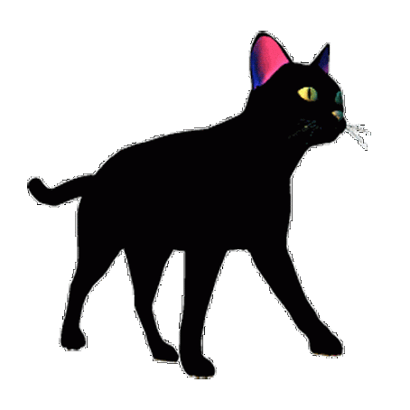 Кошечка