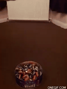 1425892213_1783759764