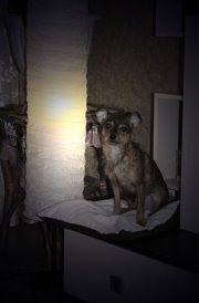 Лилу Павловна