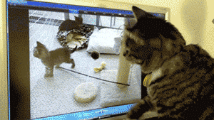 куда пропал?