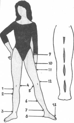 идеальные ноги ?