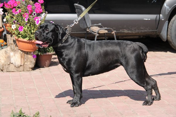 ef73025a016cedf1b9d1595922ff1884