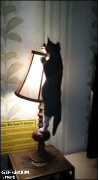 tumblr_nl1u4ejLAr1s02vreo1_250