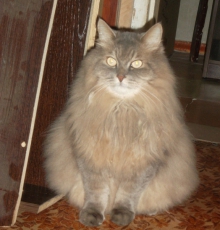 small_fda24111aea66b695dea41f35caf2260