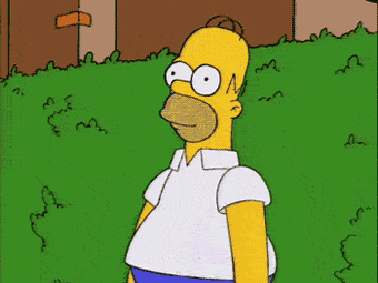 homer_med