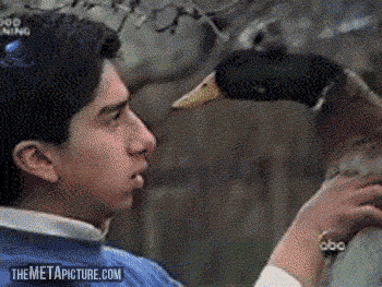 funny-gif-duck-bite-nose