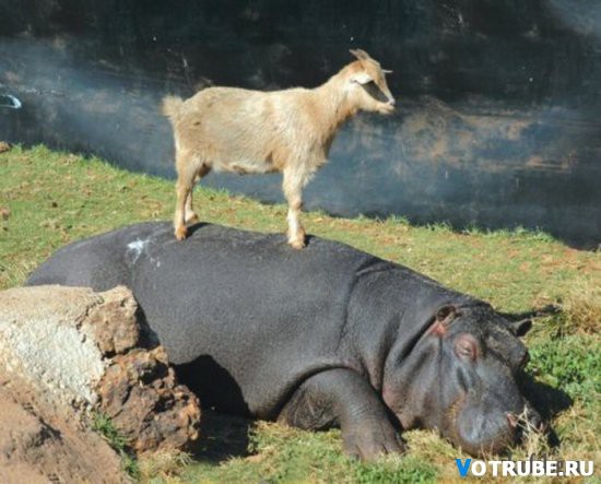 1426957089_1426735179_029