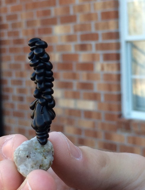 1427311309_589663731