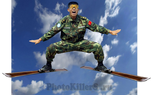 2чайка