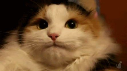 gifs_02