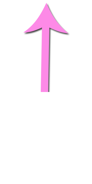 strelka