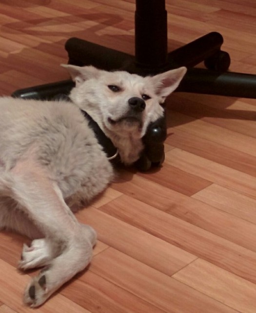 1427952569_170780893