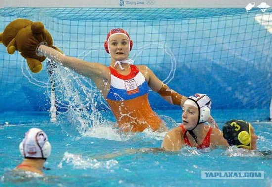 Поло мишка