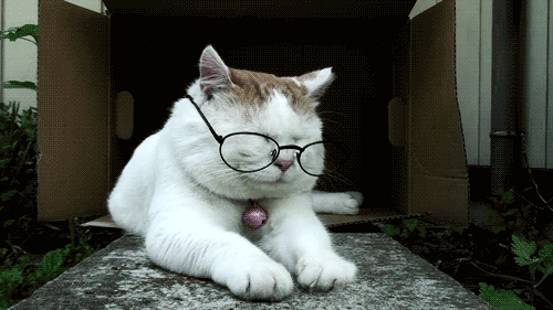 1428027577_gifs_12