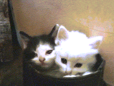 56cb9b37de5b685c92789fa19de