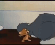 Мышь