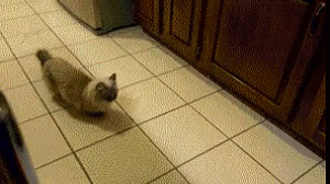 1428498845_1611079543