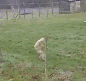 1428598476_308701132