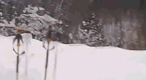 67863959945_1428046950_718400476