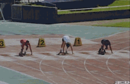 1428983853_1638340238